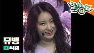 비올레타 Violeta  아이즈원IZONE 이채연  190419 뮤직뱅크 직캠 [upl. by Karee]