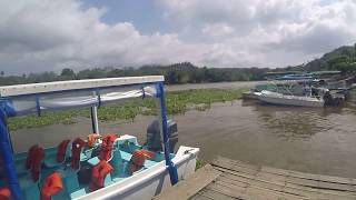 Rio Sierpe 》Bahia Drake Puntarenas  Costa Rica  Vlog 1 [upl. by Snapp490]