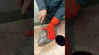 Fillet a Flounder in seconds [upl. by Navaj]