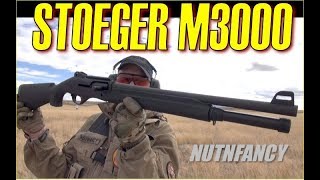 Who Needs a Benelli Stoeger M3000 [upl. by Devonne]