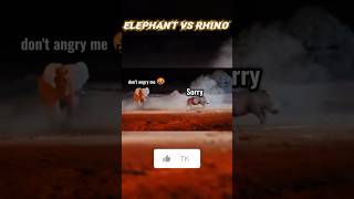 elephant vs Rhino 🦏  trnding wildlife animals shorts elephant rhino [upl. by Limber]