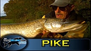 Pike fishing  Sprats vs Sardines  Battle of the Baits [upl. by Grove141]