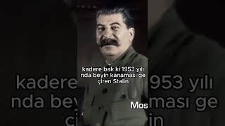 STALİN KENDİ CANINI ALDI sscb stalin shorts tarih [upl. by Hootman]