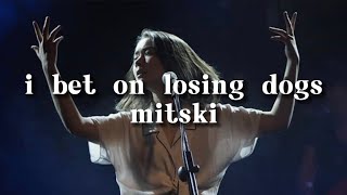 I Bet on Losing Dogs Lyrics  Mitski  mitski lyrics [upl. by Nadbus36]