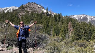 Jones amp Whites Creek Trail NV West Coast Hiking Road Trip Part 12 [upl. by Dlarej]