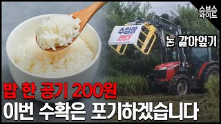 계속되는 쌀값 하락에 전국에서 논 갈아엎기 시위 [upl. by Erbes]