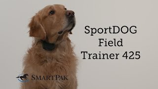 SportDOG Field Trainer 425 Review [upl. by Nyrad386]