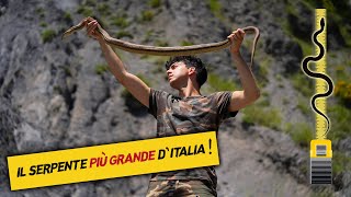 IL SERPENTE PIÙ GRANDE DITALIA Cervone [upl. by Prince]