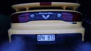 Pontiac Firebird Trans Am WS6 Collectors Edition SLP Exhaust Cold start [upl. by Dnarb361]