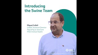 MSD Animal Health Introducing Global Swine Team Miquel Collell [upl. by Vena]