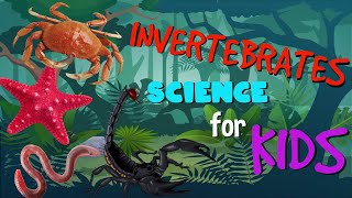 Invertebrates or Animals without Backbone  Science for Kids [upl. by Anauqal881]