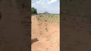 100 acrs Land sale near bavanipatnam odishaper Acra 4 Laks [upl. by Wivestad567]