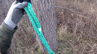 Whoopie Sling Basics  Arborist Rigging [upl. by Aneem]