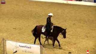 JUTTA BRINKHOFF HORSE amp DOG TRAIL  SILBERMEDAILLE GERMAN OPEN in Kreuth 2014 [upl. by Nothsa767]