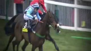 Cheltenham Memories 2004 Pt2 [upl. by Mcmurry755]