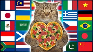 Cat in 70 Languages Meme [upl. by Mirella298]