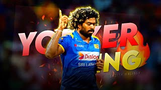 Lasith Malinga Bowling Status • Yorker King • Malinga Best Yokers lasithmalinga [upl. by Sheilah]