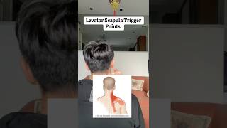 Levator Scapula Release 🫶🏻Lakuin rutin setiap hari supaya engga sakit kambuhkambuhan yaa 🫶🏻 [upl. by Eseela]