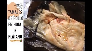 TAMALES DE POLLO EN HOJA DE PLÁTANO RECETA  Vamos a Cocinar [upl. by Yrrum707]