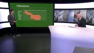 Van de winter naar de lente Hooikoorts pollen pollenseizoen en de biologische klok [upl. by Kimberlee]