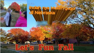 Autumn in Small Town America its the season of fall october MsHitsa [upl. by Ansev]