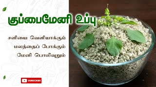 Kuppaimeni Salt  குப்பைமேனி உப்பு  Cure for cold  Shining skin [upl. by Trofmoc]