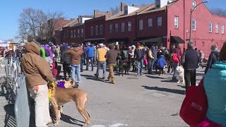 Soulards Purina Pet Parade returns in person Sunday [upl. by Aicenek]