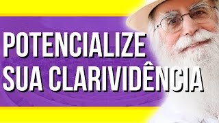 Waldo Vieira  Clarividência Como Potencializar Sua Clarividência Conscienciologia [upl. by Nylareg689]