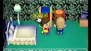 Animal Crossing City Folk Wii Speak amp WiFi Test Gameplay [upl. by Notterb]