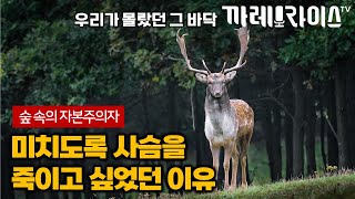 누구보다 열심히 살면서도 미래를 불안해하는 현대인들에게  도시인의 월든 ep2 박혜윤 작가 [upl. by Gainer391]