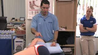 Glenohumoral Shoulder Soft Tissue Palpitation [upl. by Lindsay382]