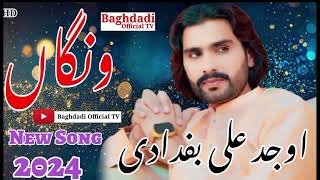 Wajid Ali Baghdadi Song 2024  Leatst Song Wajid Ali Baghdai  Saraiki Song 2025 [upl. by Denison]