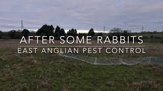 After some rabbits  East Anglian Pest Control [upl. by Sunny]