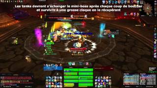 Parangons des Klaxxi 10 NM  Chaman Heal POV  Eyesoul  Archimonde EU [upl. by Yanrahs]