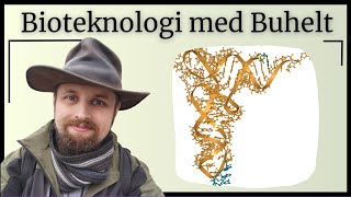 Bioteknologi  DNA og biologiens centrale dogme [upl. by Ahcsropal506]