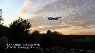 LAN Airlines Airbus A340300  Landing  Frankfurt Airport FRAEDDF [upl. by Alliuqal470]