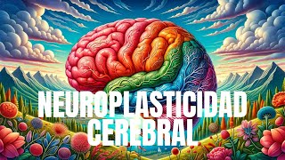 Que es la Neuroplasticidad Cerebral [upl. by Hayimas]