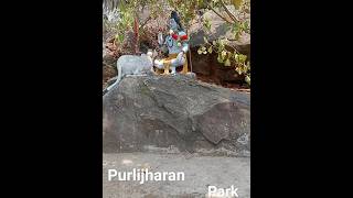 purli jharan park ll woutar pholl ll vhai rall song llshot video [upl. by Novat]