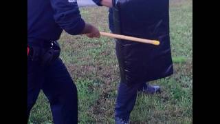 Globetact Defensive Training Systems basic Handcuffing ppct expandable baton certification training [upl. by Clova]