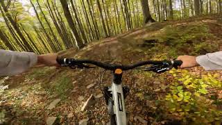 Borsuk  najszybszy bielski dzikus  20102024  GoPro Hero11 Black POV  Enduro MTB [upl. by Raji758]