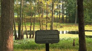 Cold Harbor Richmond National Battlefield Park [upl. by Torre995]