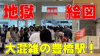 【警察が出動】東海道新幹線が終日運休するとこうなる！ [upl. by Atikel737]