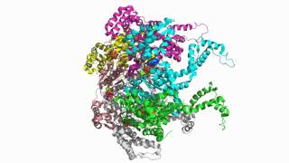 HslU Hexamer 1Do0 [upl. by Arvid166]