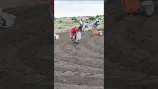 Biochar Compost Preparation  Mixing Easy Method biochar [upl. by Ahsenac489]