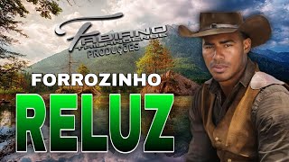 🎵 FORROZINHO 2024 ▶️ RELUZ ▶️ FABIANO TAILANDENSEFBS divulgações [upl. by Ahcsrop]