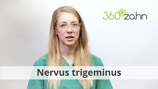 Nervus trigeminus  Was ist der Nervus trigeminus  DentalLexikon  360°zahn [upl. by Oruam]