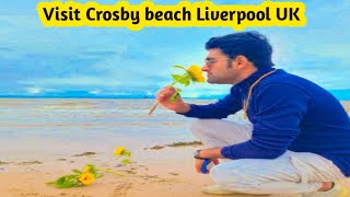 Visit and Walk through Crosby beach Liverpool UK 🇬🇧  Life in UK 🥰 [upl. by Acirem95]