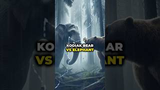 Who Would Win in a Fight Between A Kodiak Bear And A Elephant bear bears elephants elephant [upl. by Kaine559]