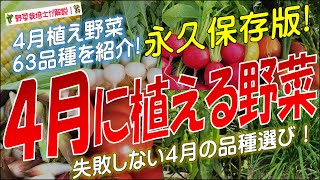 4月に植える野菜（63品種）永久保存版 [upl. by Acired278]