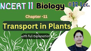 Transport in Plants  Class 11 Biology Made Easy  NCERT Explained [upl. by Salomi392]